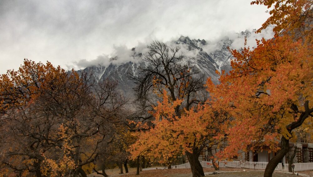 a scenic view of a mountain range with trees in the foreground