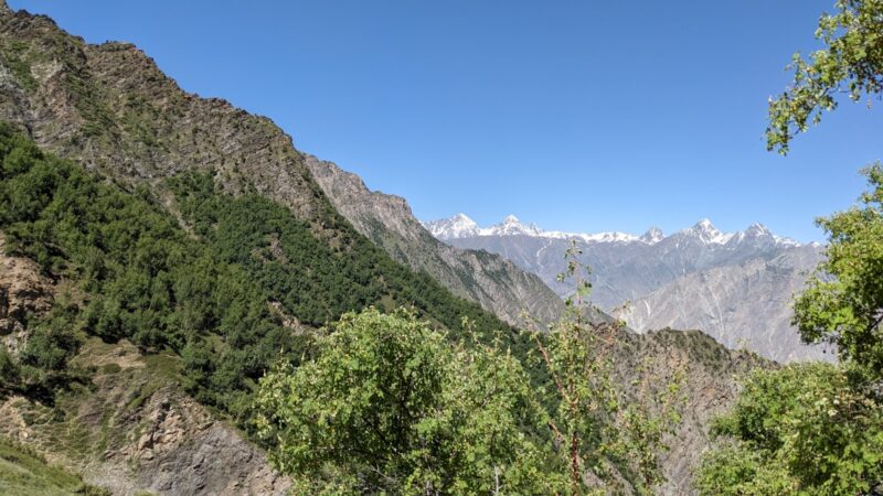 a view of a mountain range with trees and mountains in the background