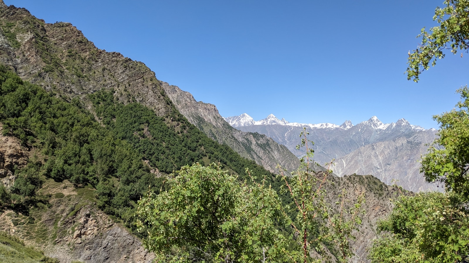 a view of a mountain range with trees and mountains in the background